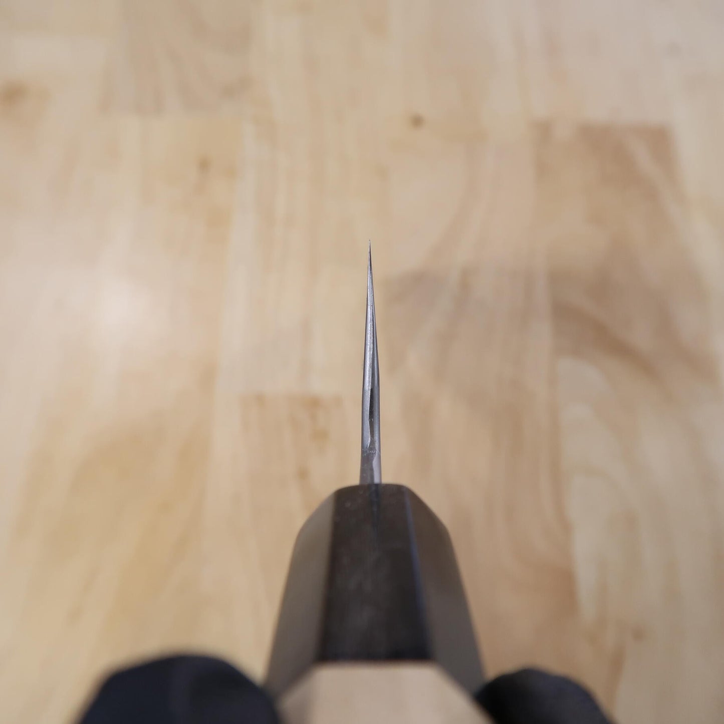 SAKAI KIKUMORI Shirogami No. 2 Gyuto Kikuzuki Magnolia Handle (210mm)