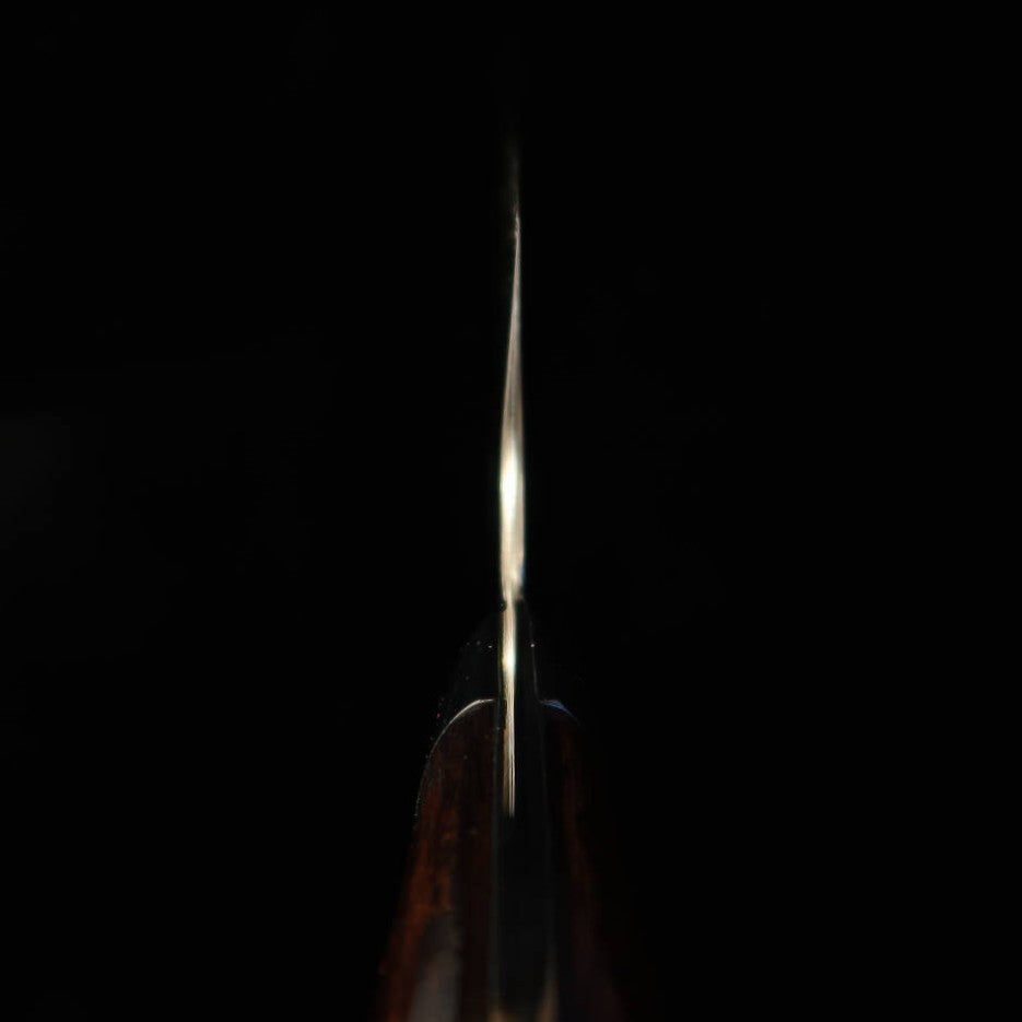 Takeshi Saji Aogami No.2 Colored Damascus Bunka Ironwood (175mm)
