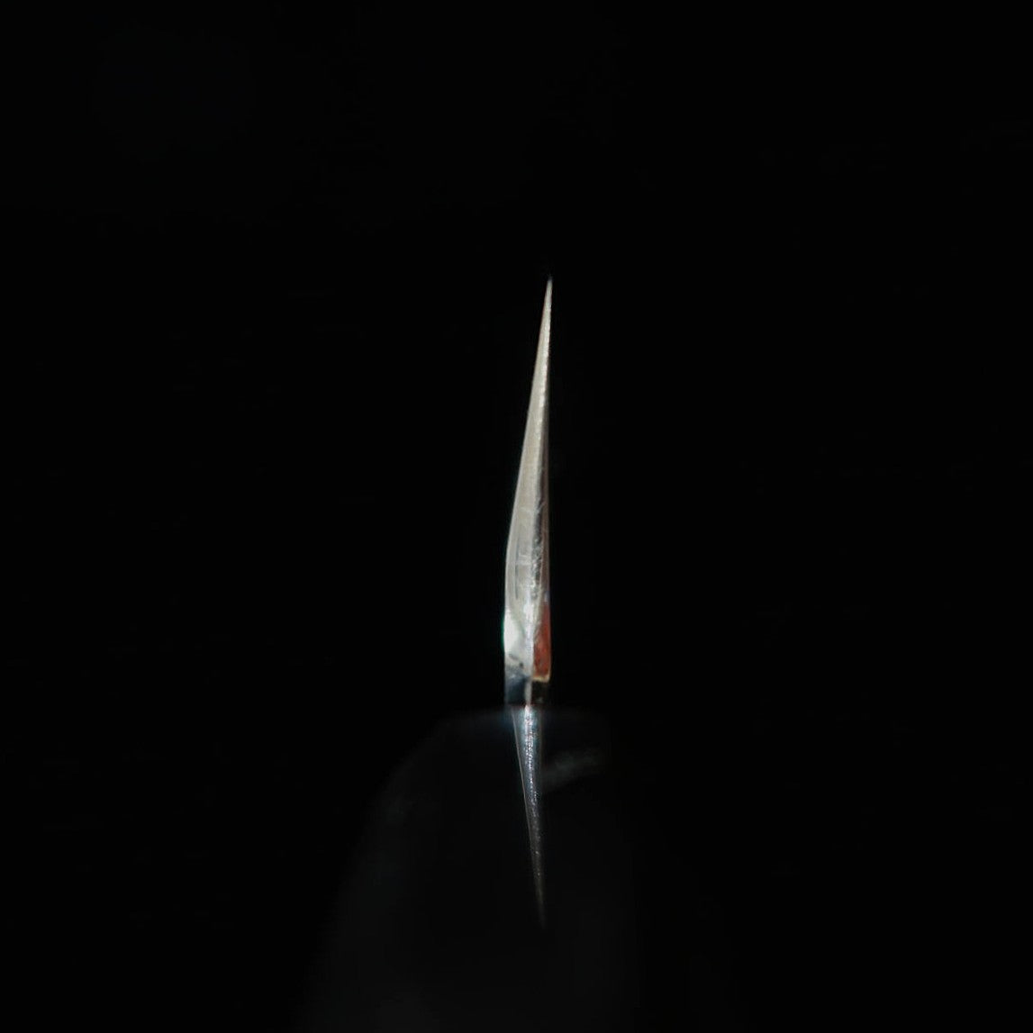 TADOKORO HAMONO Makoto-made mirror-finished Shirogami No. 2 sickle shaped Usuba and octagonal magnolia handle (195mm)