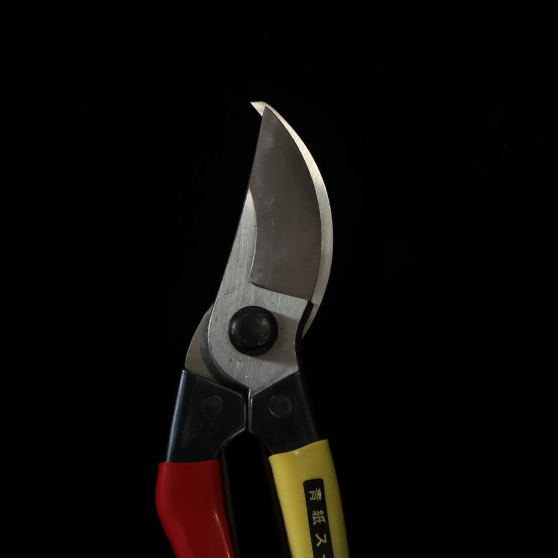 MIURA Sécateur en acier Aogami Super pour droitier (200 mm)