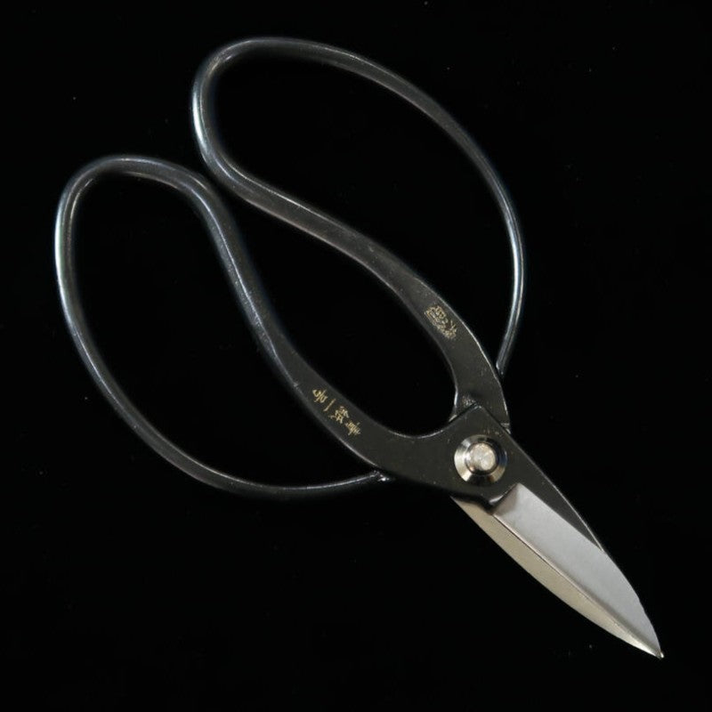 Miura MIURA, ciseaux Okubo, signature Yasunori, acier Aogami n°1, boîte noire (180 mm)
