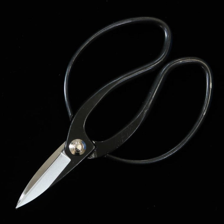 Miura MIURA, ciseaux Okubo, signature Yasunori, acier Aogami n°1, boîte noire (180 mm)