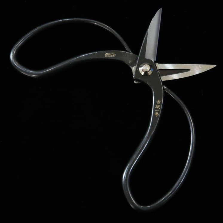 Miura MIURA, ciseaux Okubo, signature Yasunori, acier Aogami n°1, boîte noire (180 mm)