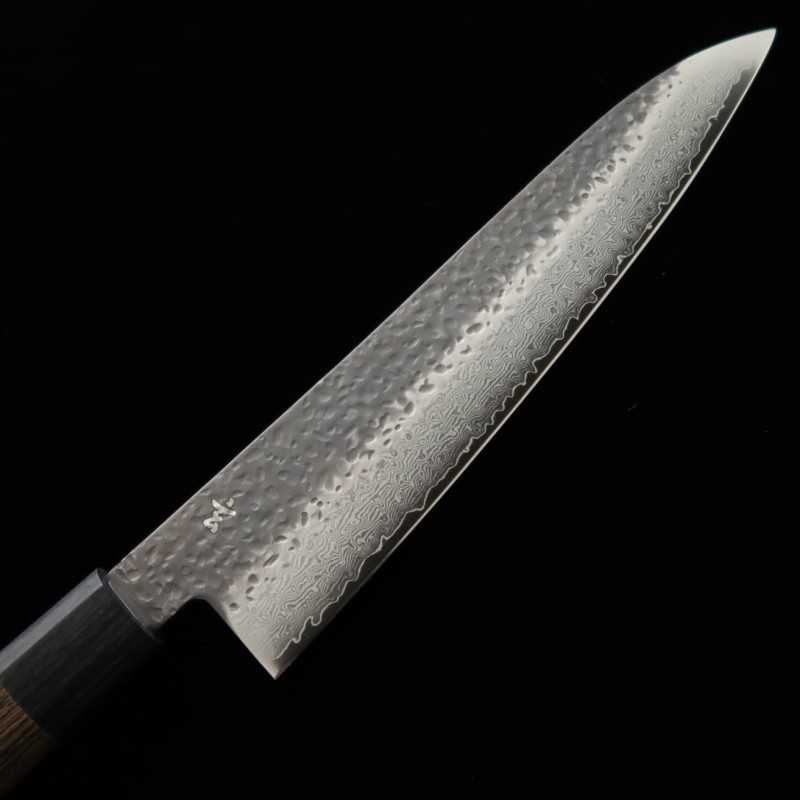 SHIZU TAKUMI Gyuto GEN VG-10 Black Damascus (180-240mm)