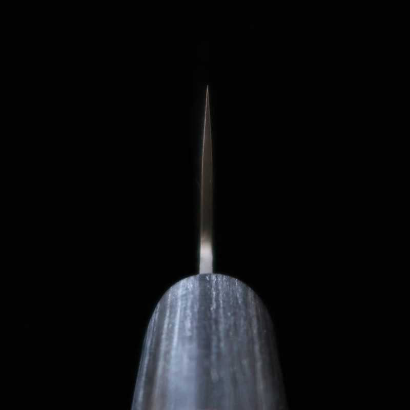 SHIZU TAKUMI Gyuto GEN VG-10 Black Damascus (180-240mm)