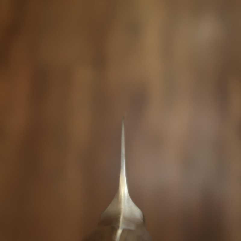 Gyuto GLESTAIN - 819TM (190mm)