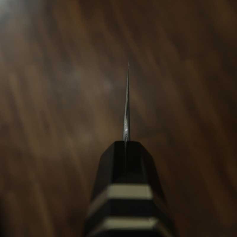 NIGARA Forged Works Gyuto Aogami #2 Damasco, cabo de ébano com prata (210mm)