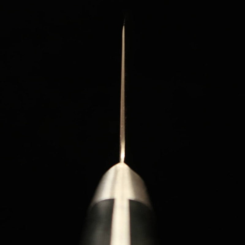 Gyuto kiritsuke SAKAI TAKAYUKI Damasco Coreless cabo Micarta (190mm)