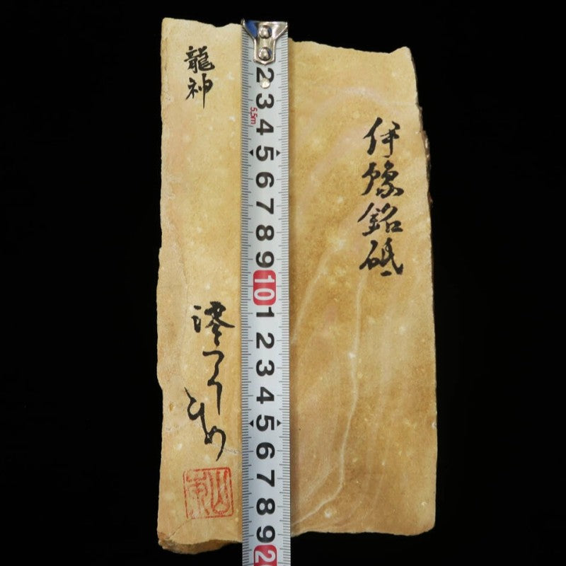 Mio Tsukushi Hime Pierre à aiguiser naturelle Iyo Meito Ryujin 107×212×29 mm