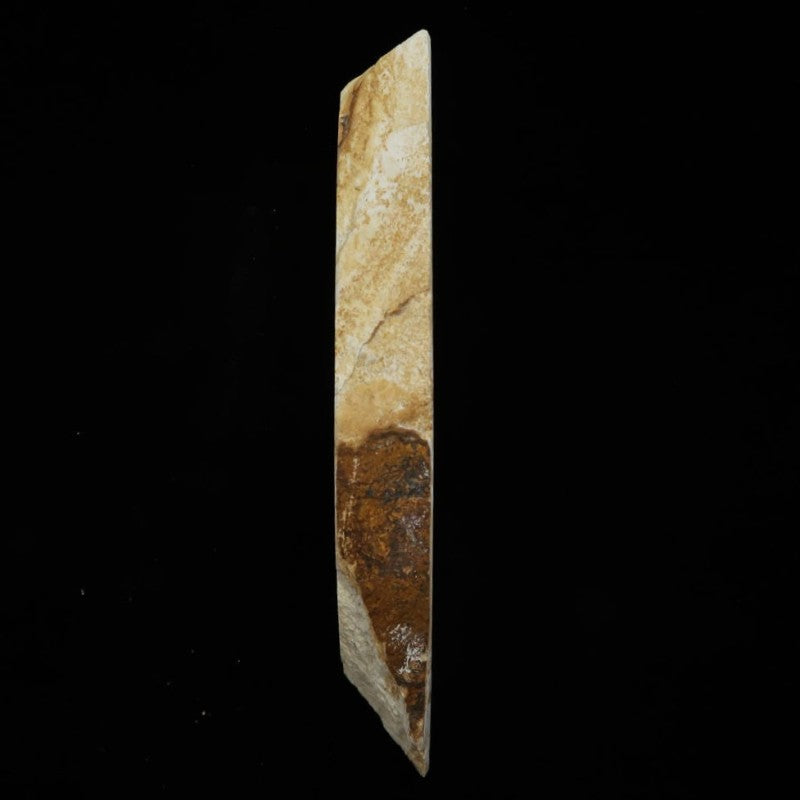 Mio Tsukushi Hime Piedra de afilar natural Iyo Meito Momiji 79×228×27mm