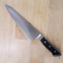 Japanese garasaki Knife - GLESTAIN - T Serie - Size: 19cm