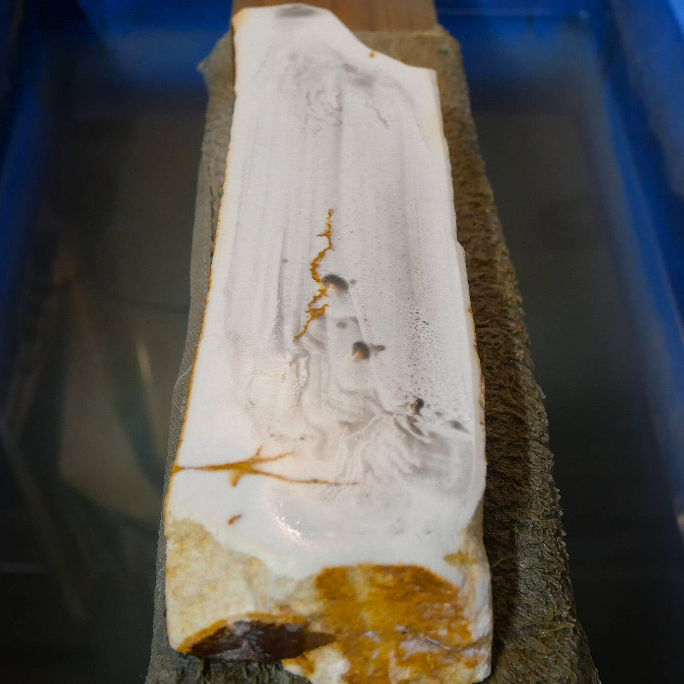 Mio Tsukushi Hime, pierre à aiguiser naturelle Iyo Meito NM07, blanche, 62×230×30 mm