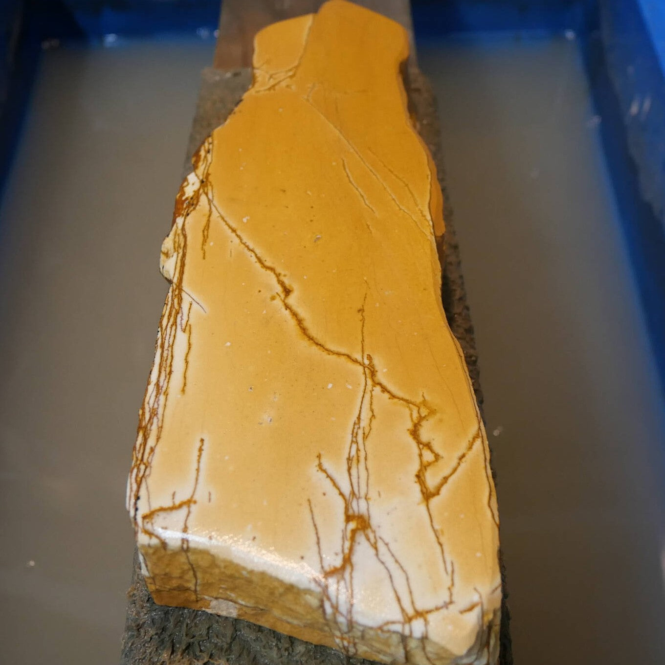 Miotsukushihime Pierre à aiguiser naturelle Iyo Meito NM10 Shayō 77×250×30 mm