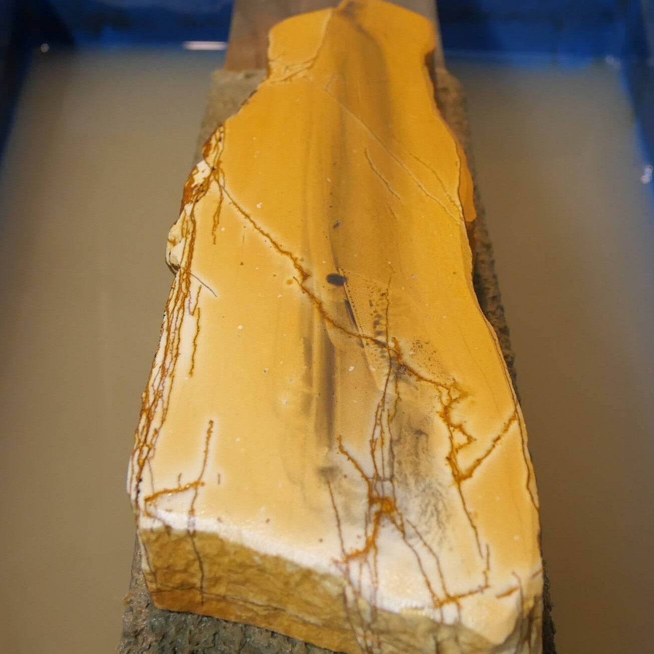 Miotsukushihime Pierre à aiguiser naturelle Iyo Meito NM10 Shayō 77×250×30 mm