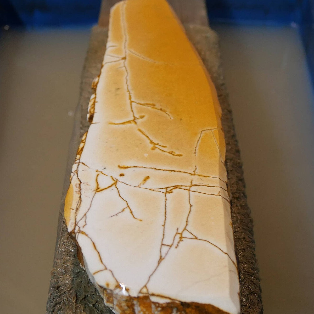 Miotsukushihime piedra de afilar natural Iyo Meito NM11 “Shayō” 70×250×30 mm