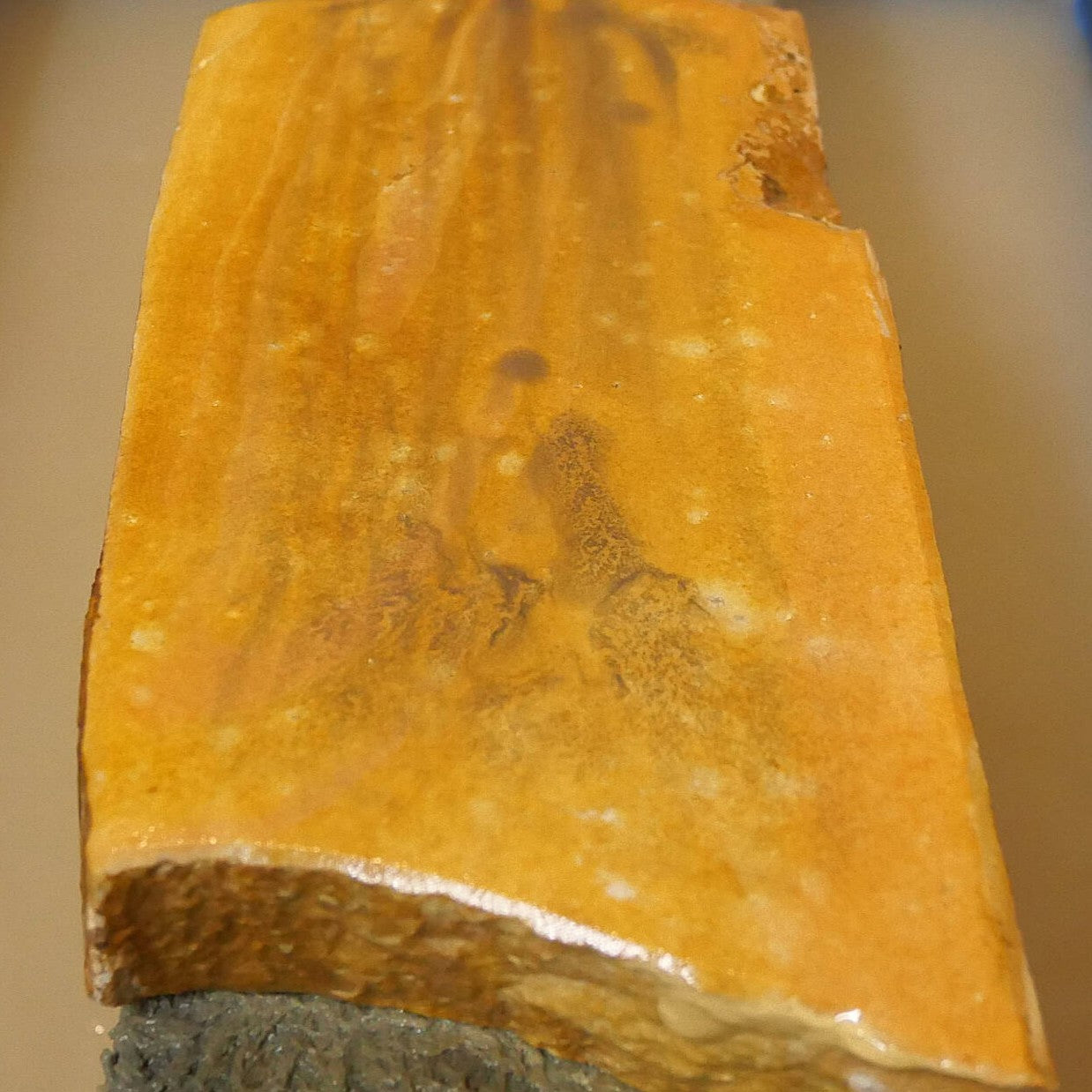 Miotsukushihime piedra de afilar natural Iyo Meito NM14 Ryujin 98×227×28 mm