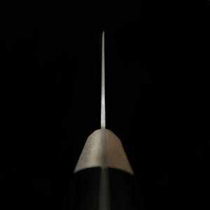 Misono MISONO UX-10 Gyuto, modelo salmão (210mm)