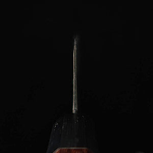 TAKEDA Hamono Sujihiki/Double-sided Yanagiba Aogmai Super (240mm)