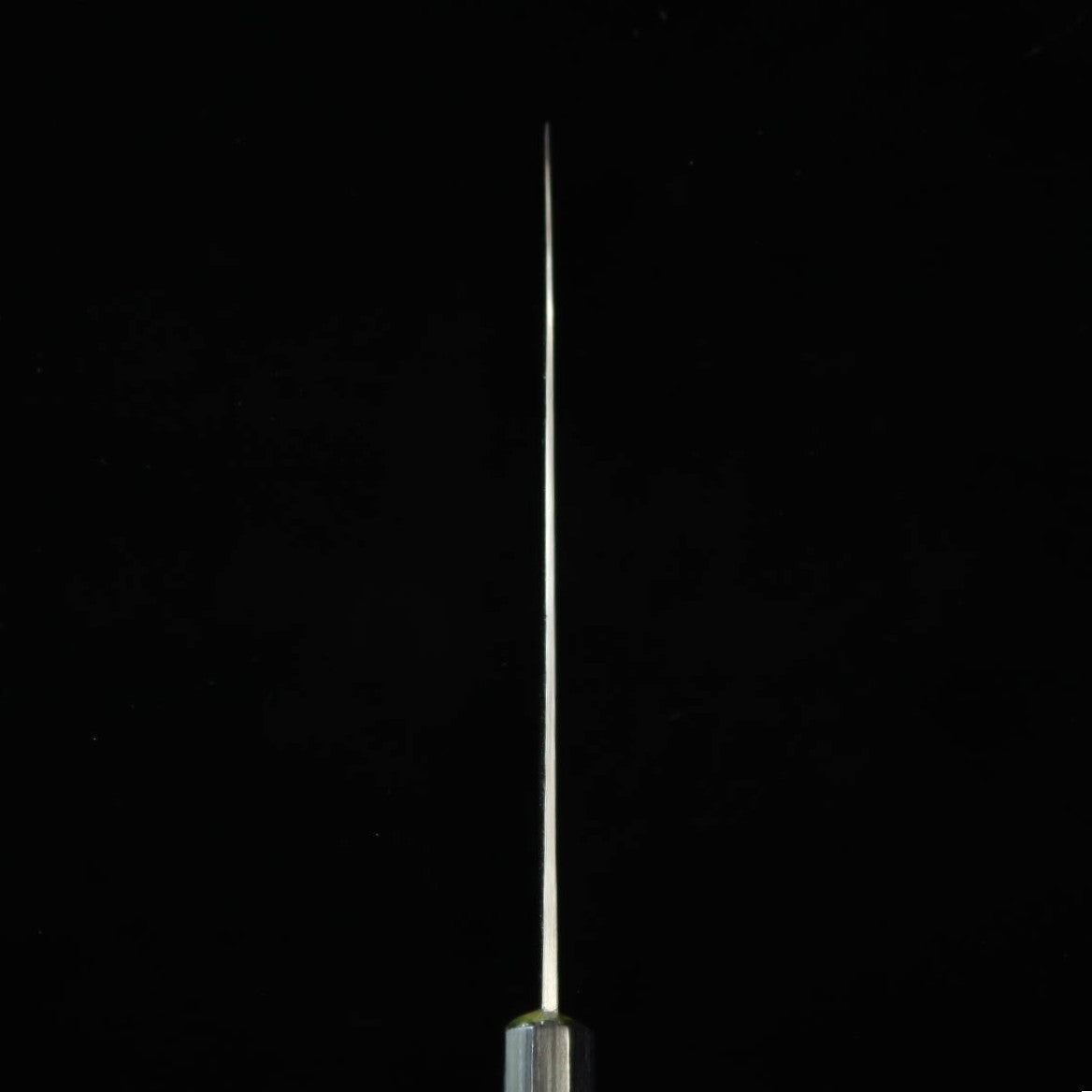 Takeda Hamono Medium Sasanoha Super Blue Steel (210mm)