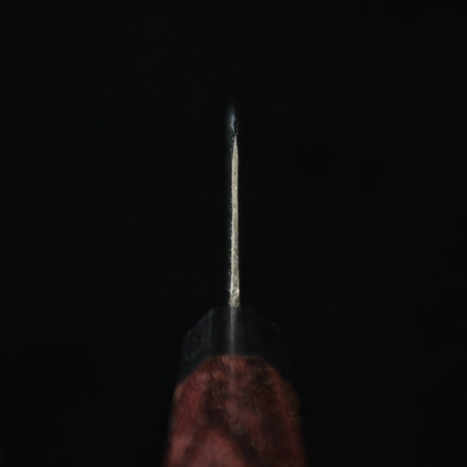 Takeda Hamono Medium Sasanoha Super Blue Steel (210mm)