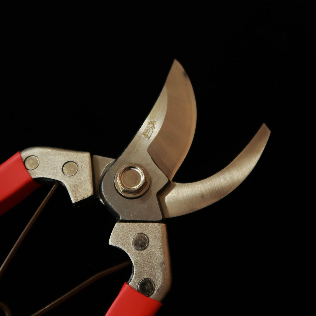 Pruning shears Pro SLD steel Yasunori (200mm)