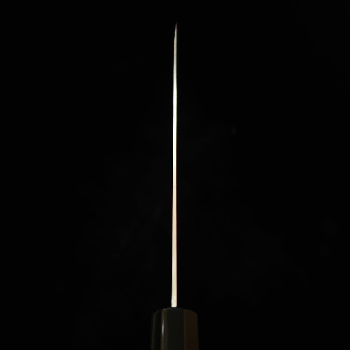 三浦MIURA 牛刀 ZDP189 ショット カスタムハンドル（210mm）