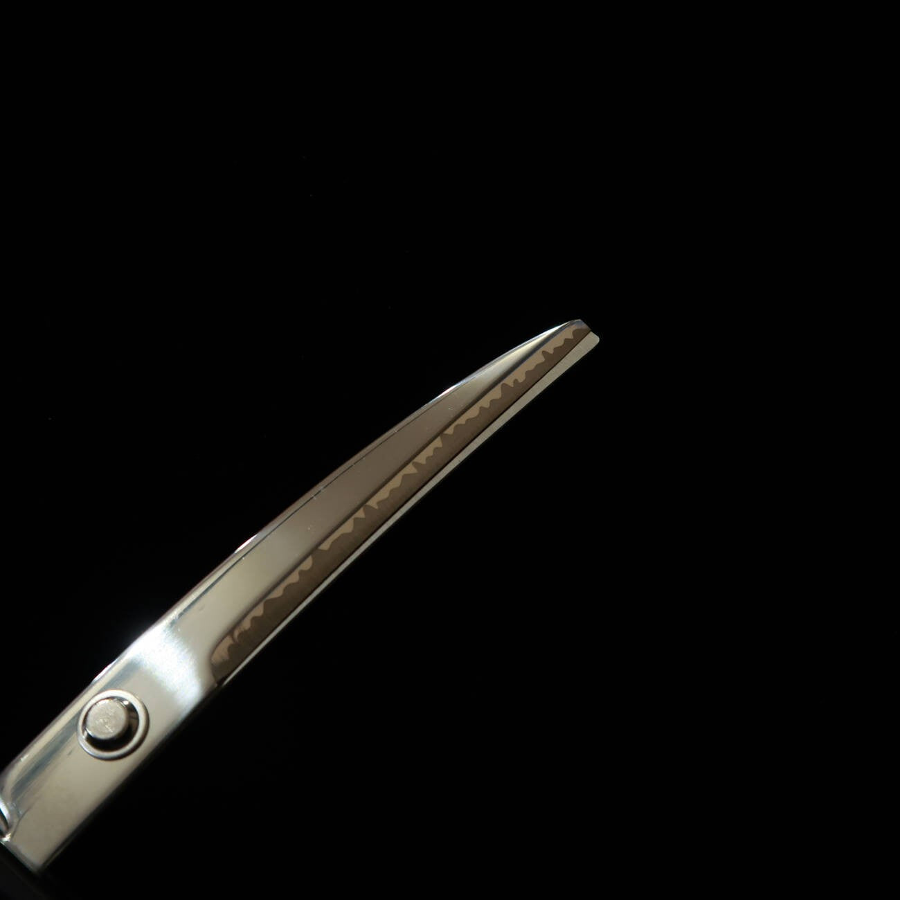 ニッケン刃物 日本刀はさみ 掛け台付 徳川家康