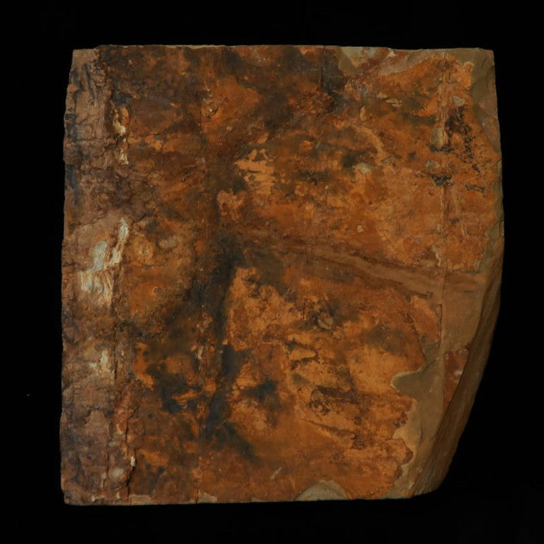 天然砥石　中山 合砥 コッパ　92×94×14mm