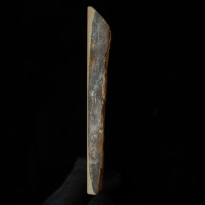 天然砥石　中山 合砥 コッパ　110×123×14mm