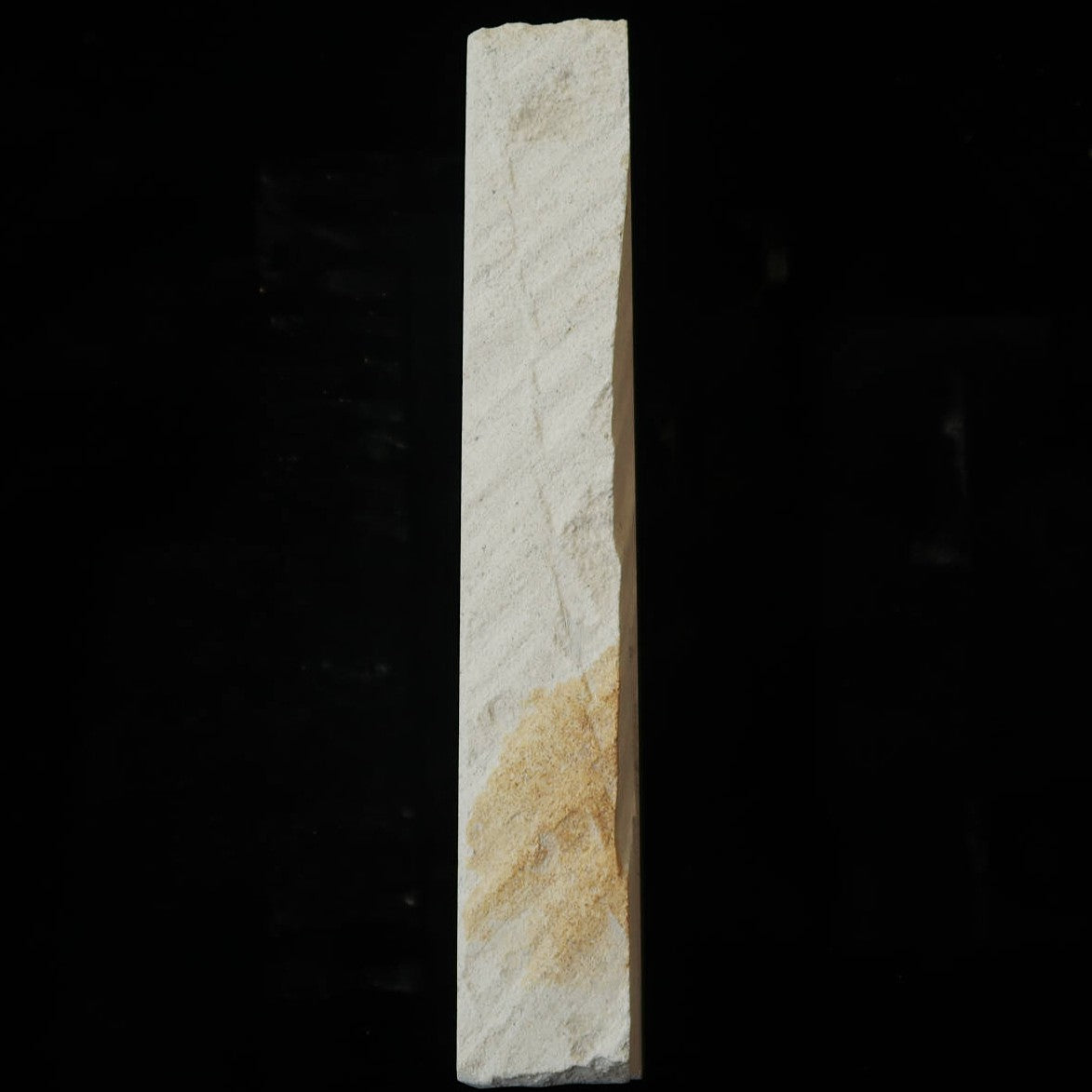 天然砥石　伊予砥石 青星　93×217×35mm
