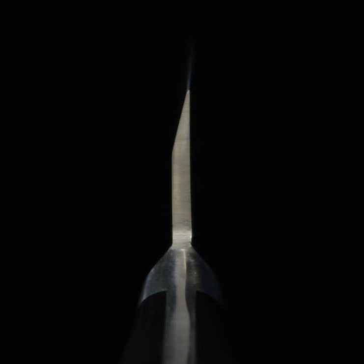 Sakai Takayuki SAKAI TAKAYUKI acier japonais Garasuki (180mm)