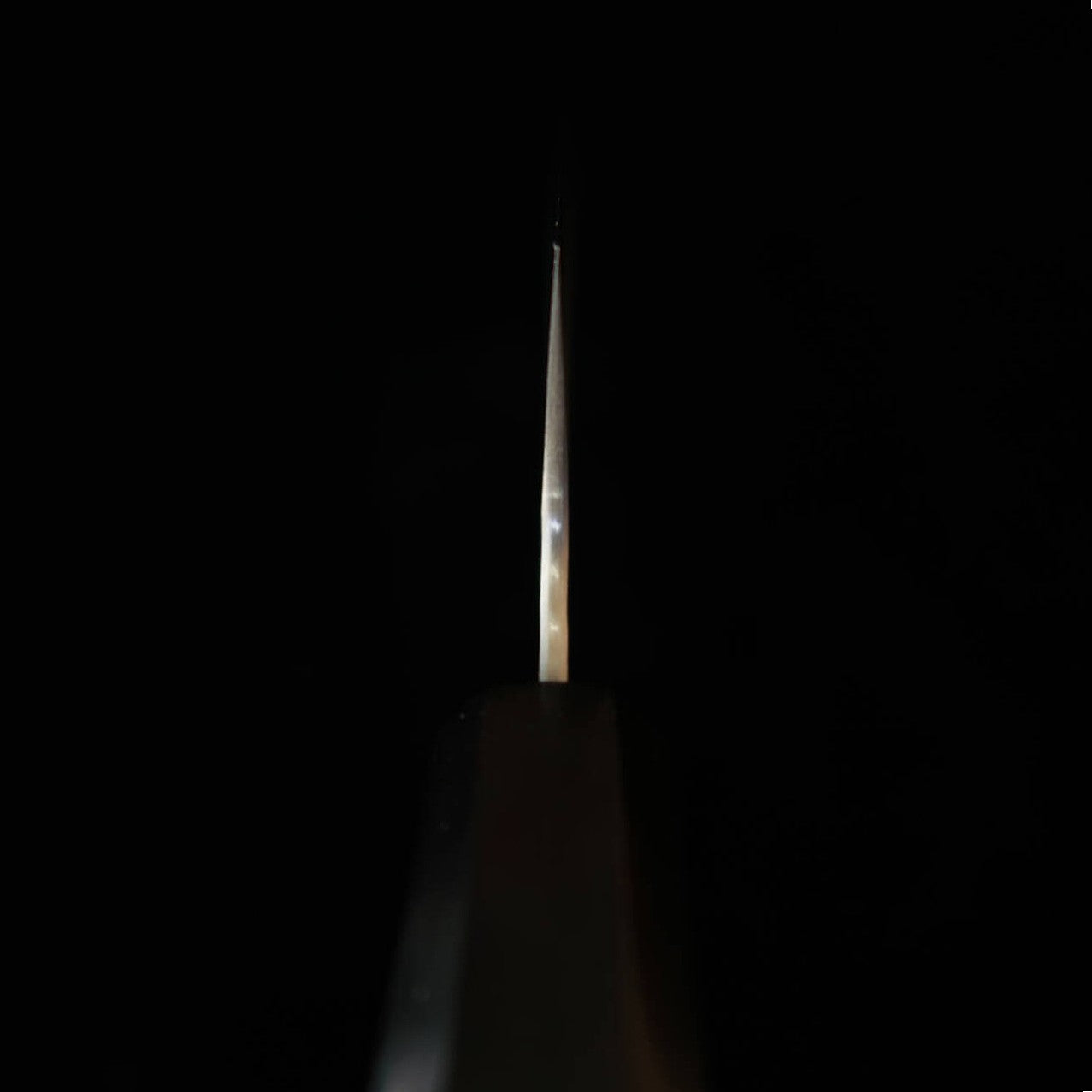 二唐刃物鍛造所 NIGARA SG2 磨き槌目 切付牛刀 黒檀一体型柄 (210mm)