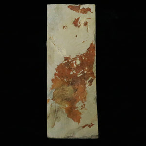 天然砥石　若狭砥石　浅黄　78×210×27mm