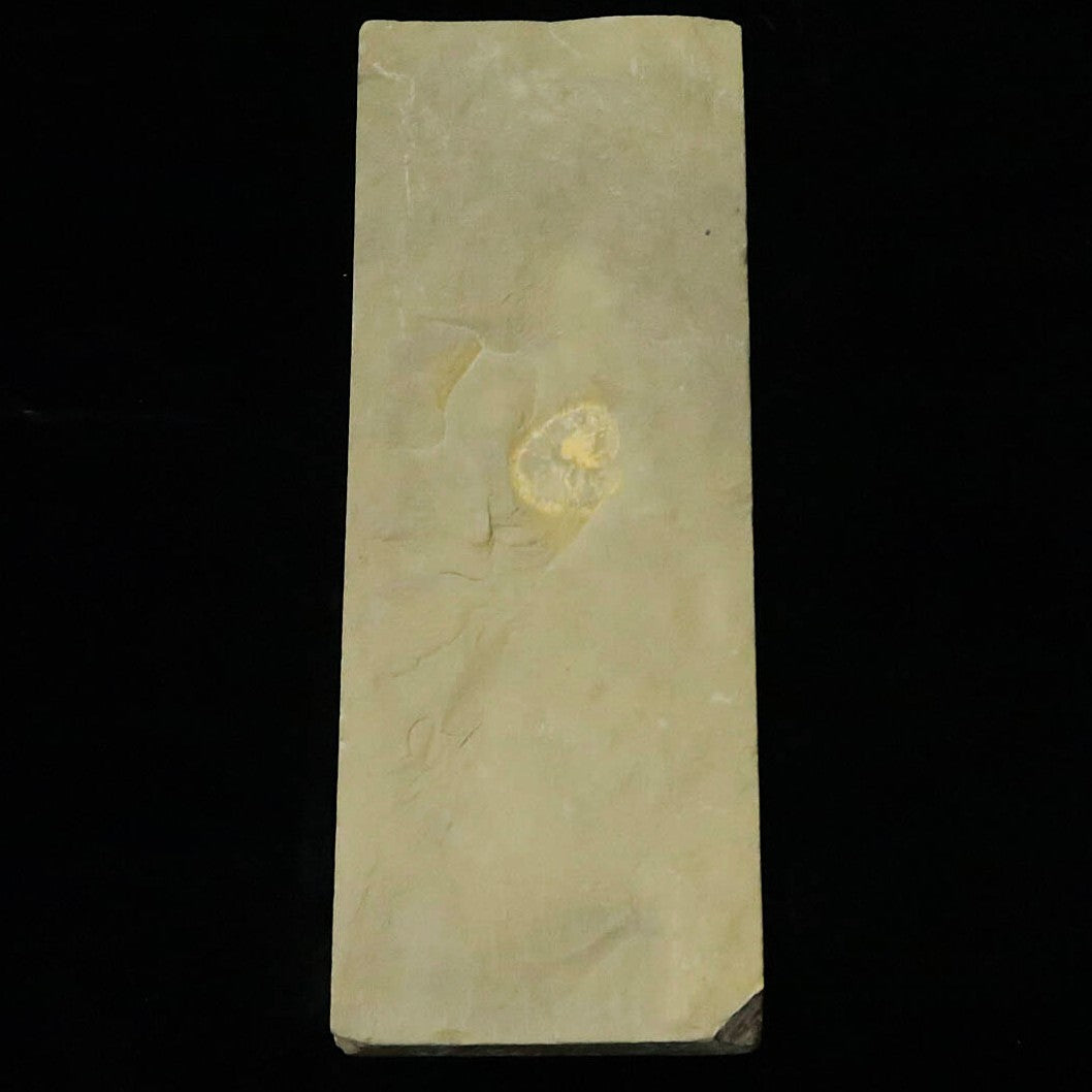 天然砥石　愛宕山合砥　極薄　40型　80×212×16mm