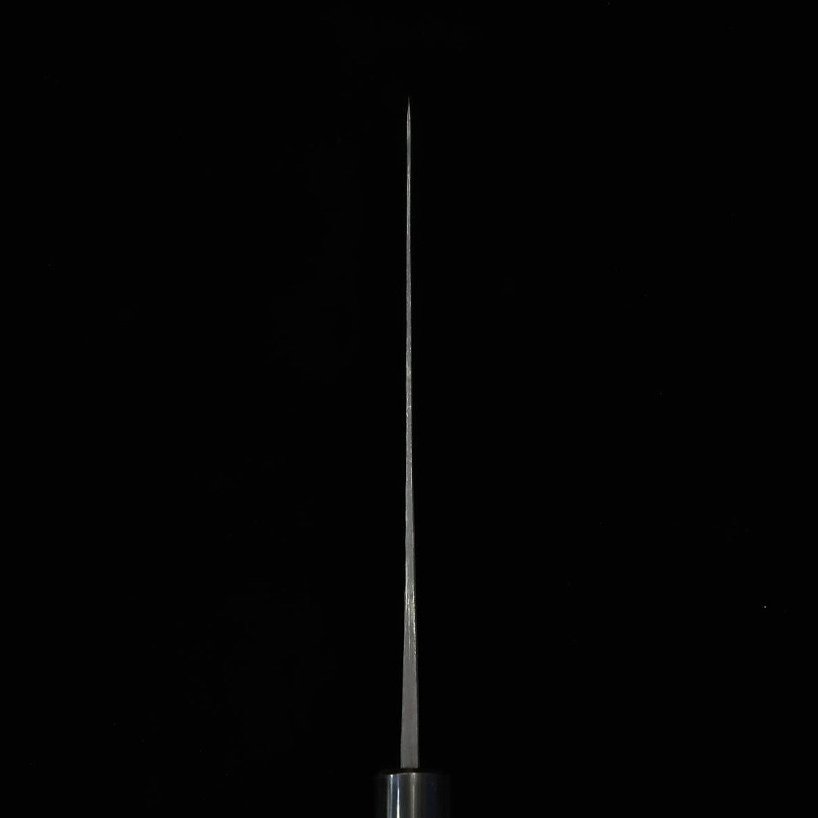 三浦 MIURA by Shindo　牛刀　青紙二号　黒打ち　朴水牛栗型柄（180-270mm）