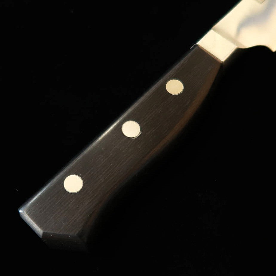 グレステン GLESTAIN プロティナイフ 021TK （210mm） – 三浦刃物店