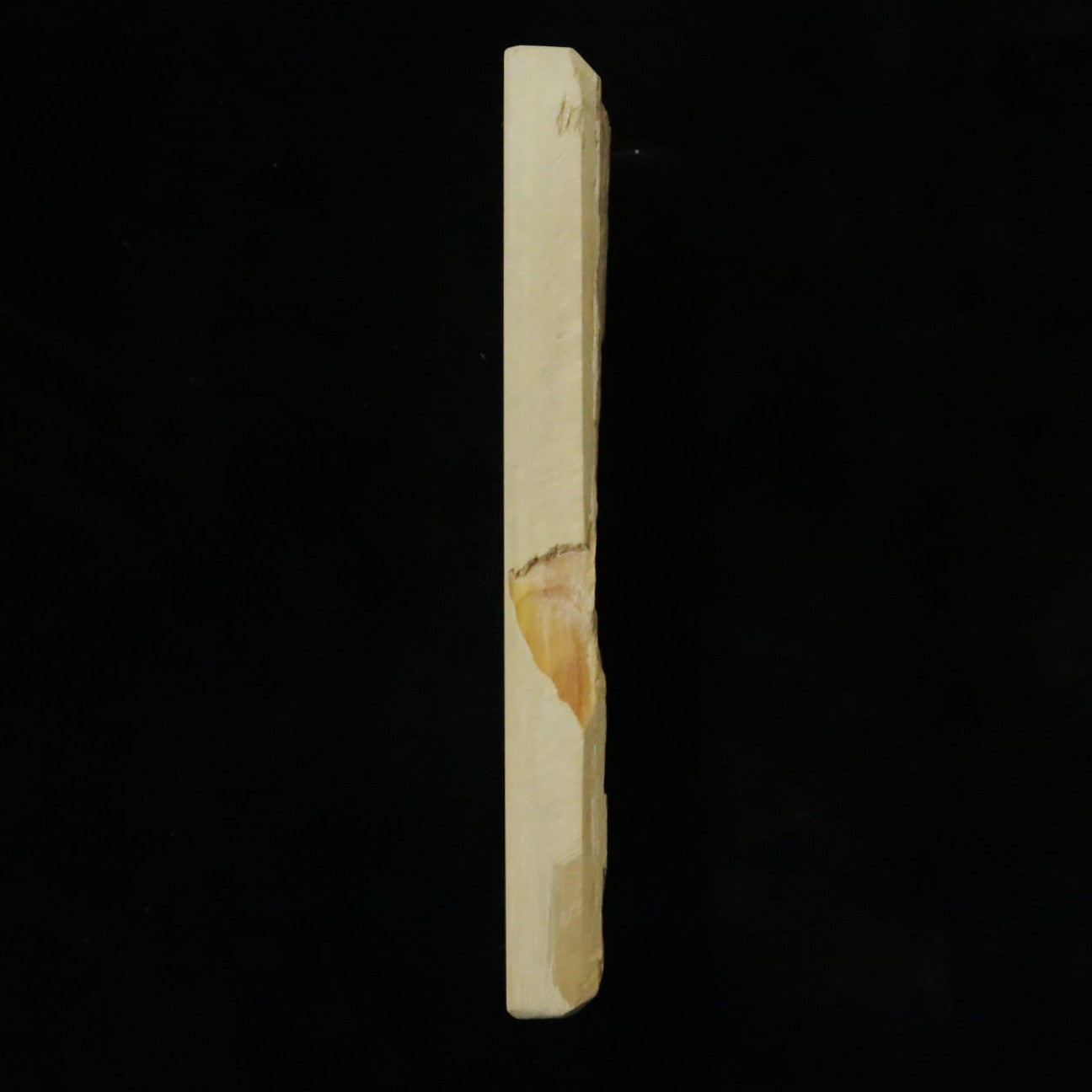 天然砥石　中山 合砥 コッパ 54×141×18mm