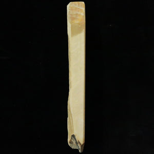 Pedra de amolar natural Nakayama Aoto Koppa 54×141×18 mm