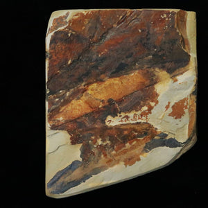 Piedra de afilar natural Nakayama Aoto, “koppa” 127×102×33 mm