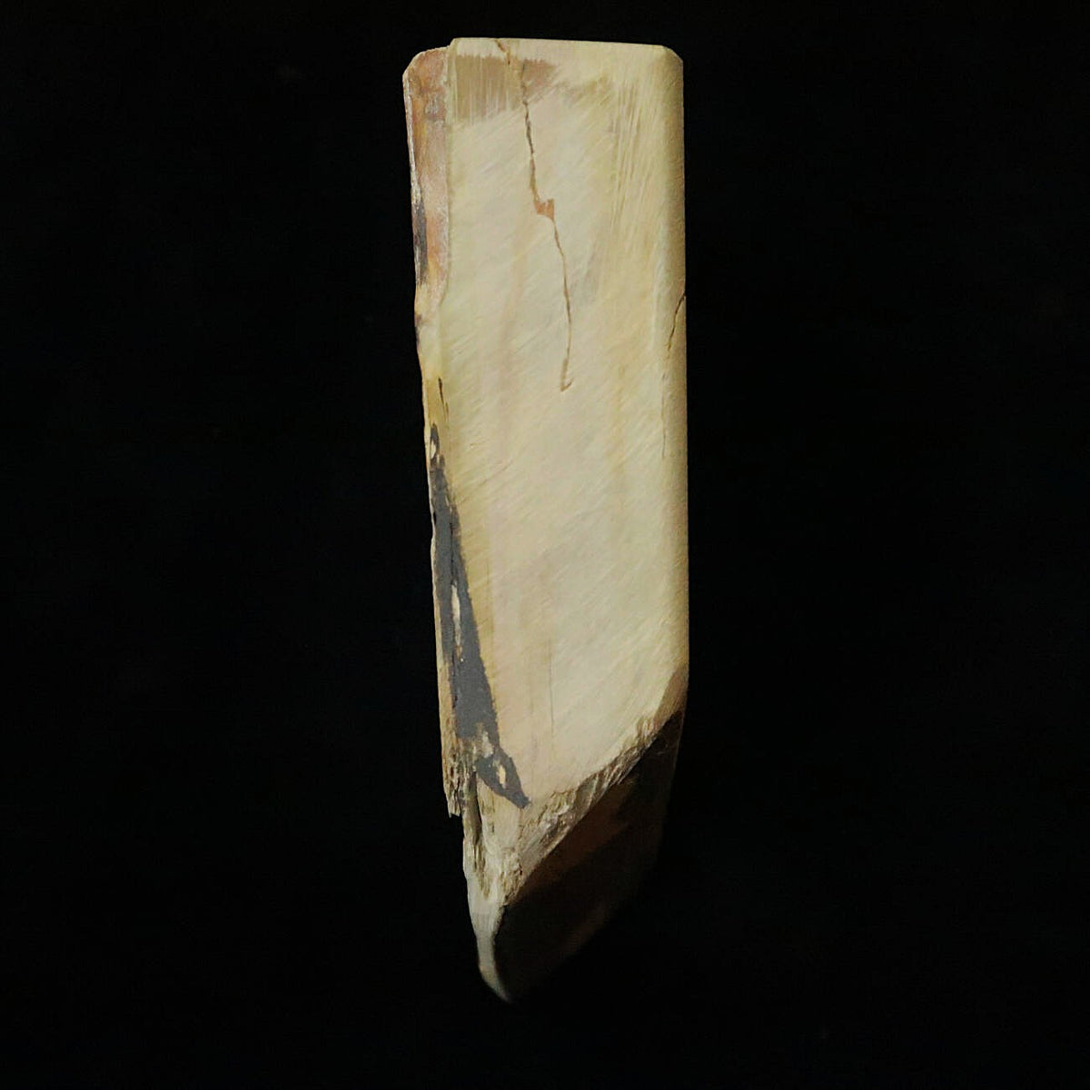 Piedra de afilar natural Nakayama Aoto, “koppa” 127×102×33 mm