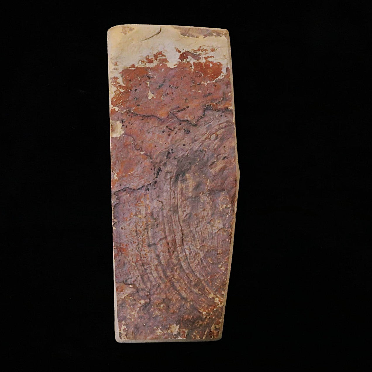 天然砥石　中山 合砥 コッパ 72×177×16mm