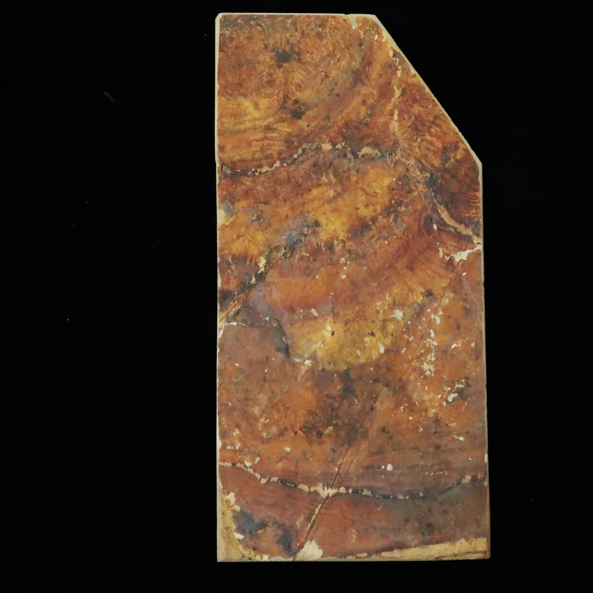 天然砥石　中山 合砥 コッパ 101×208×11mm