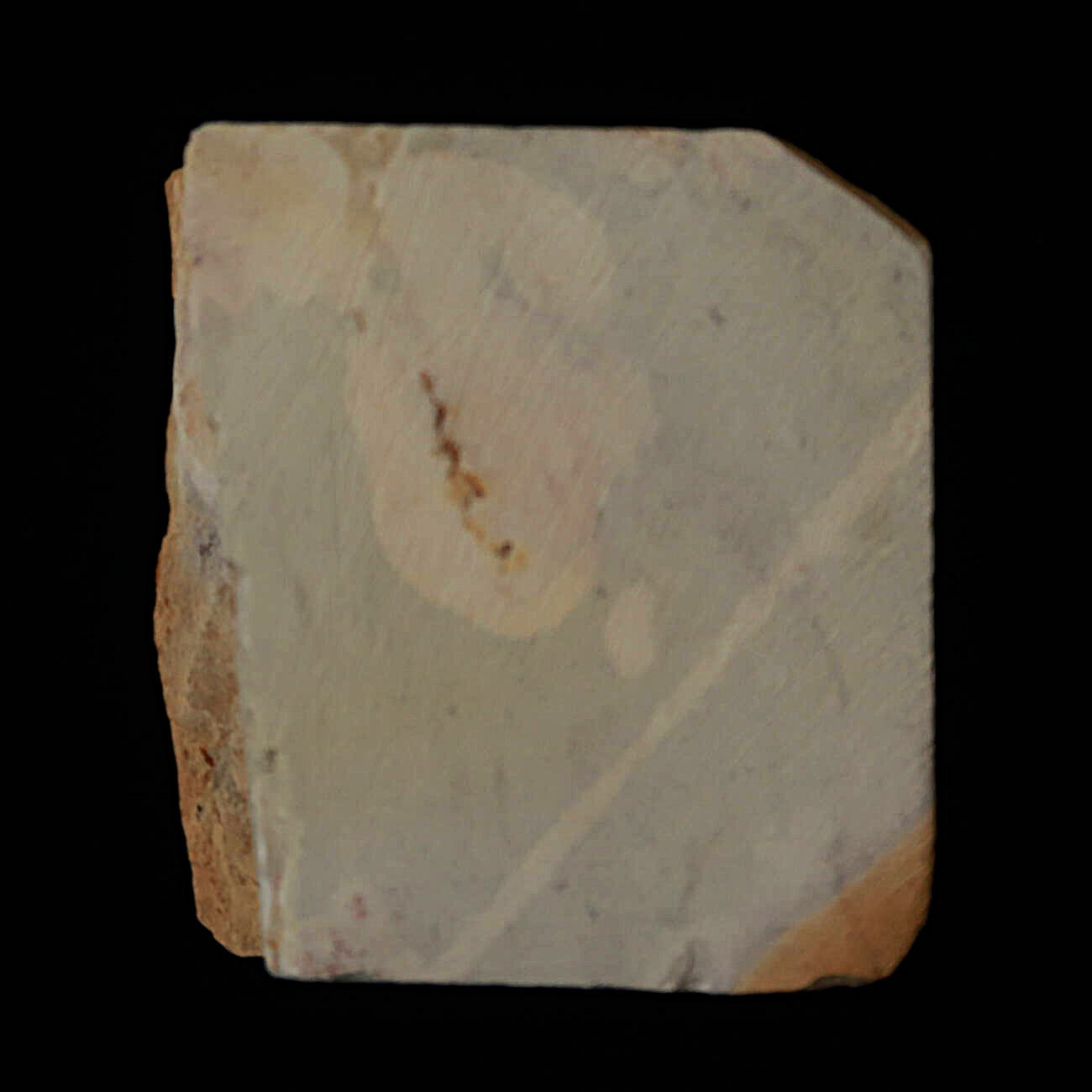 天然砥石　大突　巣板　コッパ　64×71×24mm