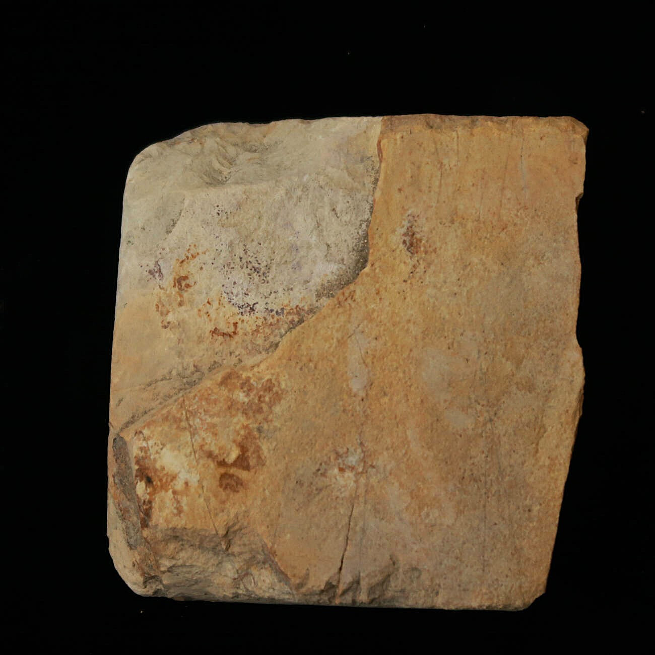 天然砥石　大突　巣板　コッパ　64×71×24mm