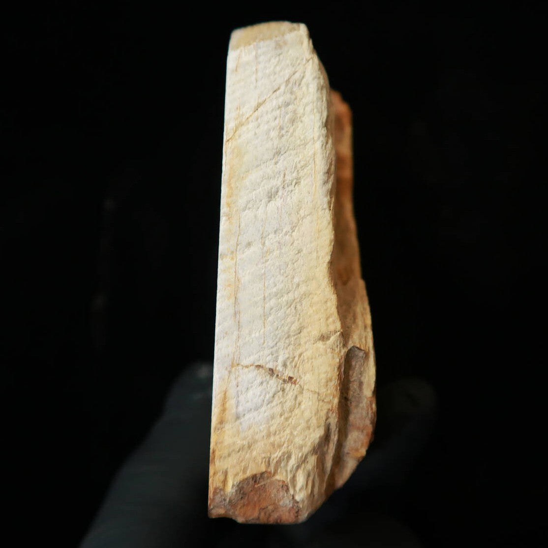 Pedra de amolar natural Ōtsuki Suita Koppā 64×71×24 mm