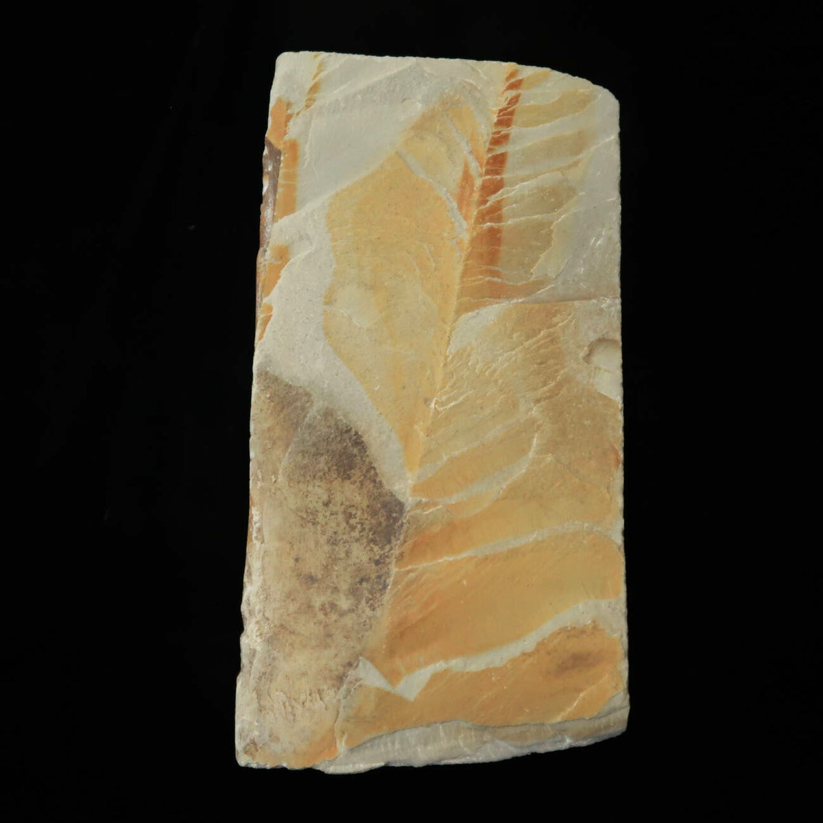 Nakayama Thin Type Natural Whetstone (75x150x7mm)