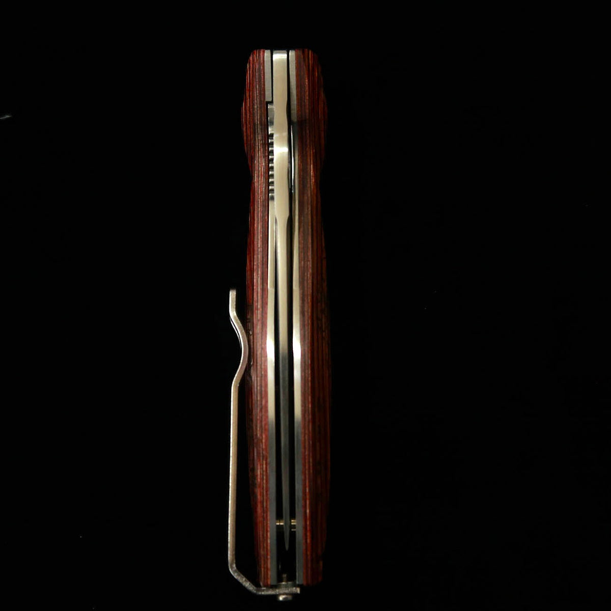 MCUSTA Emukasta Sengoku Takeda Shingen SPG2 canivete MC-0187G (94 mm)