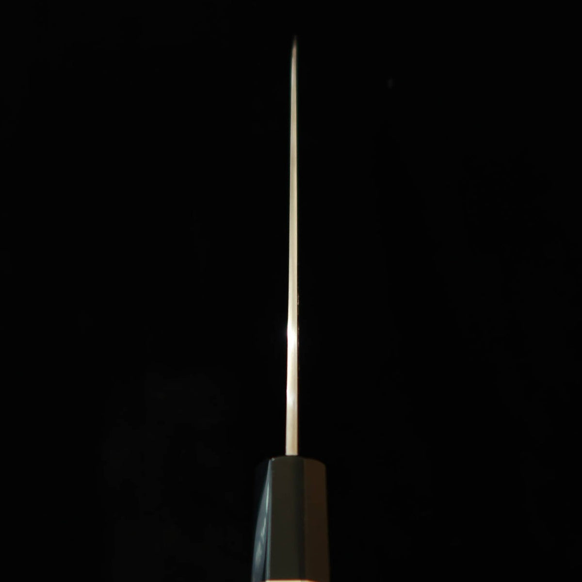 Miura佩 MIURA Obidama gyuto Aogami nº1 Damasco, mango de fibra de carbono (210/240 mm)