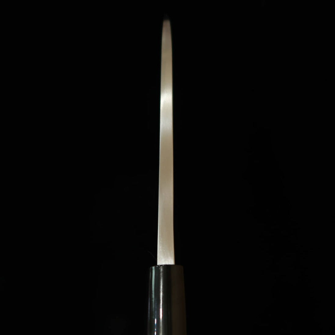 Miura deba, aço SK, kasumi, cabo de magnólia com colar de plástico (165 mm)