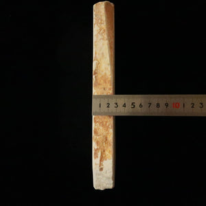 Miotsukushihime – Pierre naturelle Iyomoto M30 « Shiroto », 74 × 254 × 28 mm